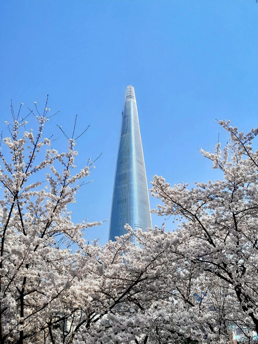 남자친구 손잡고 벚꽃보러 가볼만한곳들_6.webp