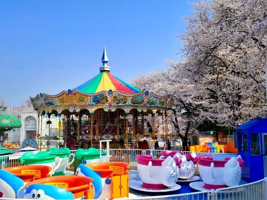 남자친구 손잡고 벚꽃보러 가볼만한곳들_9.webp