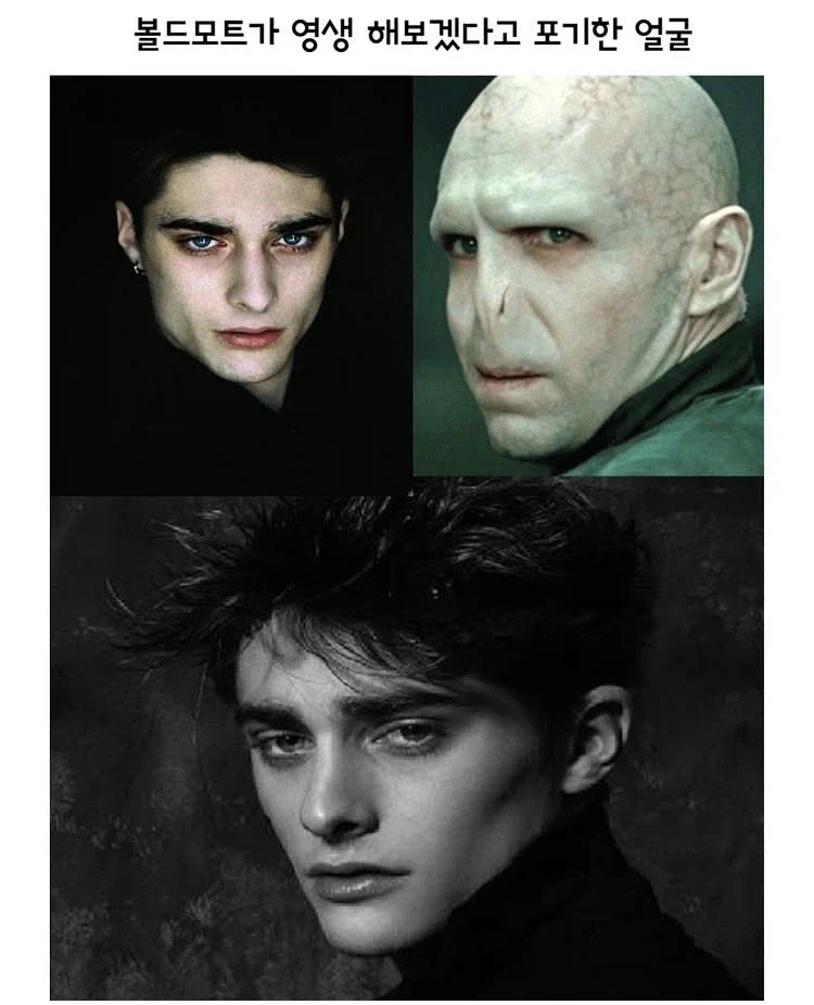 볼드모트가 영생하겠다고 포기한 것_1.webp