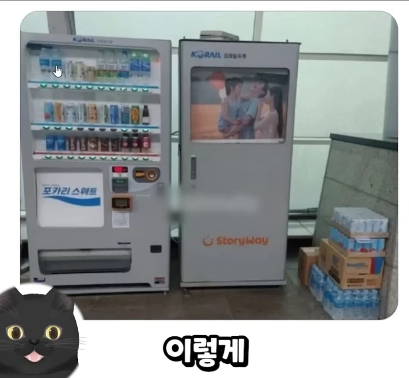 외국인들이 말하는 독도가 한국땅인 이유.JPG_4.webp