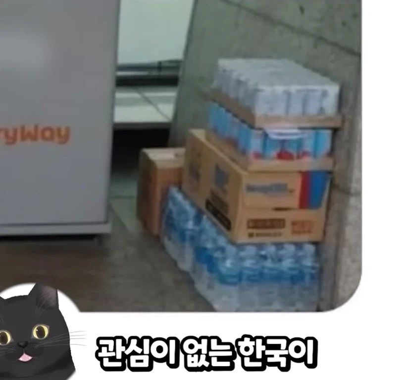 외국인들이 말하는 독도가 한국땅인 이유.JPG_6.webp