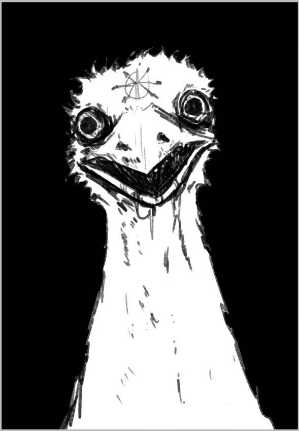 일반인 시점의 에뮤와 호주인 시점의 에뮤_2.webp