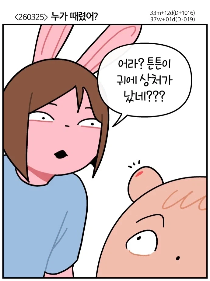 아이가 어린이집에서 맞았다고 말한다_1.webp