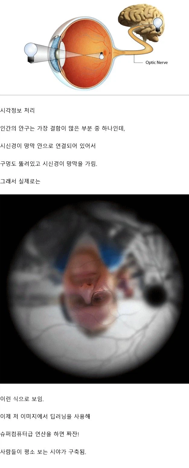 뇌 사용량의 가장 많은 부분을 차지한다는 기능 jpg._1.webp