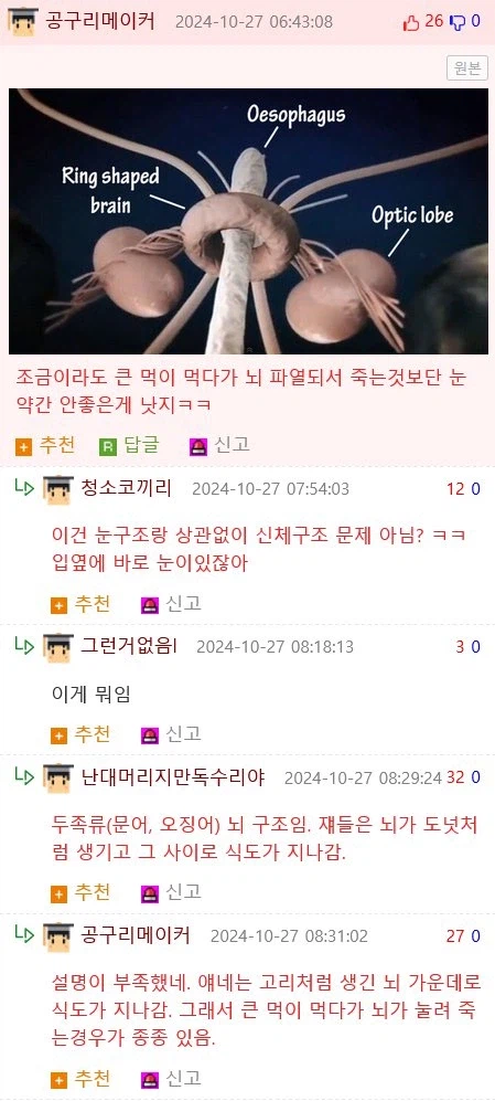 뇌 사용량의 가장 많은 부분을 차지한다는 기능 jpg._4.webp