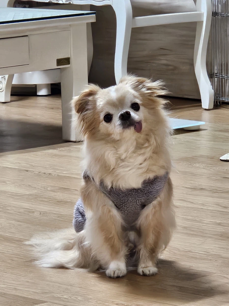 님들님들 ㅈㄴ 급함_1.webp