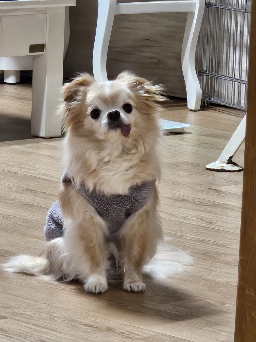 님들님들 ㅈㄴ 급함_2.webp