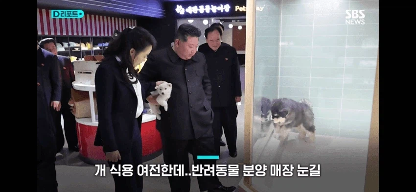 좋은곳에 입양갈꺼라했는데 여긴 어디?_1.webp