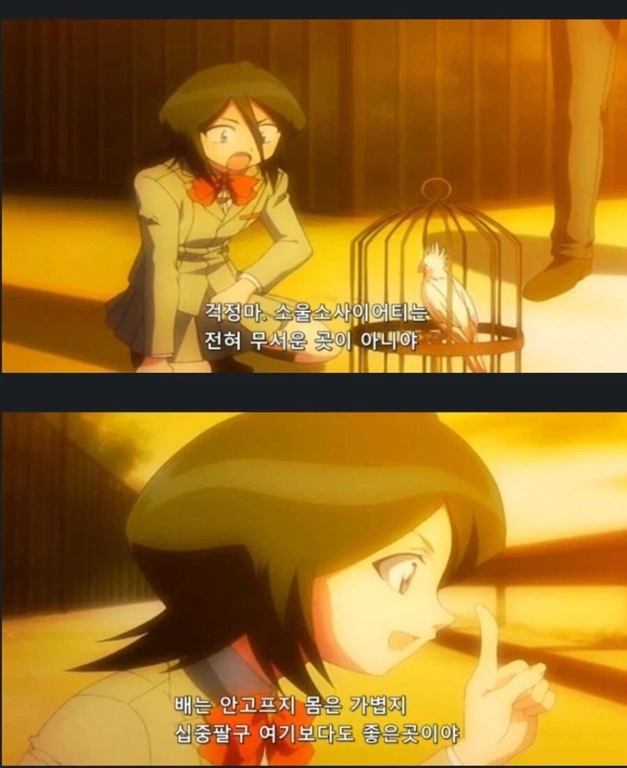 좋은곳에 입양갈꺼라했는데 여긴 어디?_2.webp