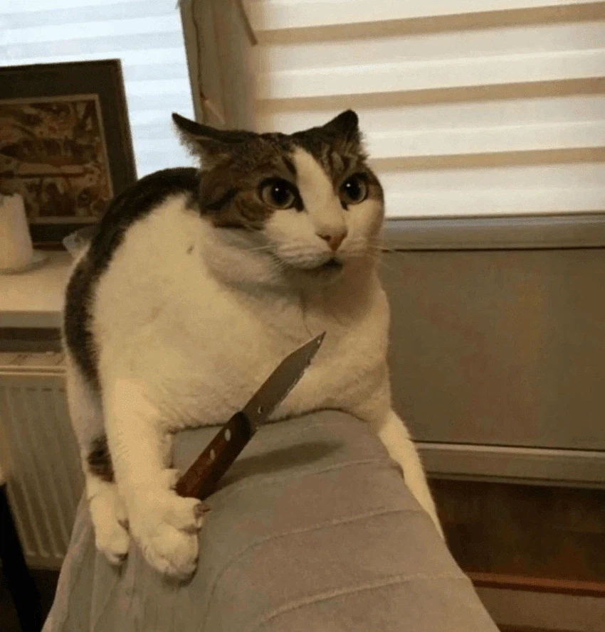 빨리 펄어비스 주식8만이상 띄워놔라_1.webp