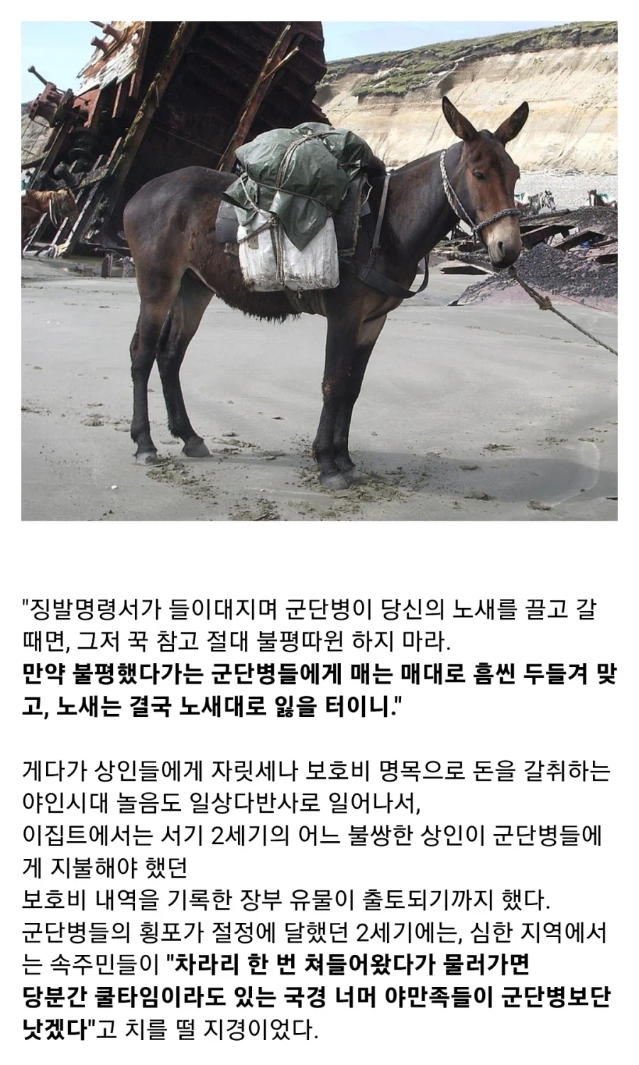 고대 로마 군단병이 무서운 이유_3.webp