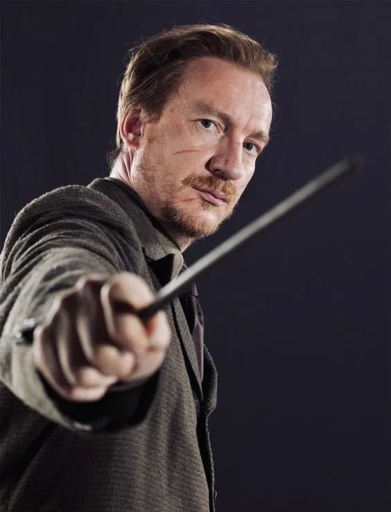 해리포터) 고생 꽤나 한 거 같다는 호그와트 동기들_3.webp