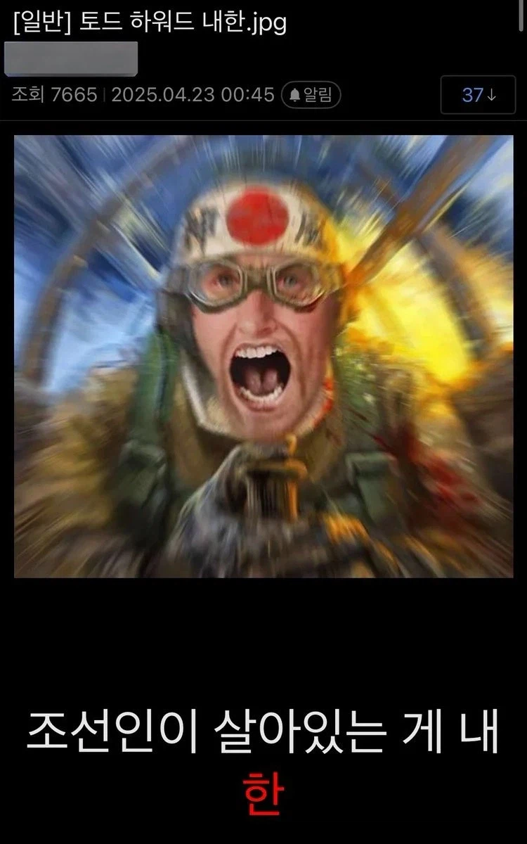 일관적인 도토키 하와도_2.webp