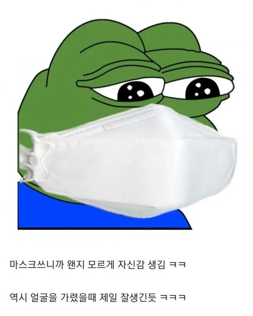 너는 마스크 쓰냐.jpg_3.webp