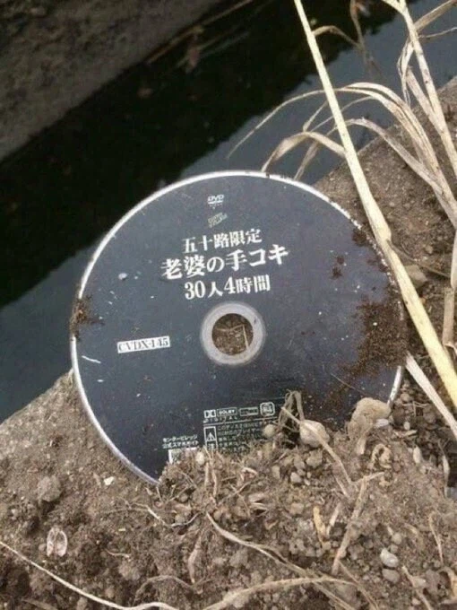 강변에 버려져있는 수상한 물건_1.webp