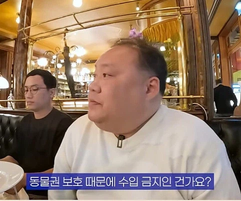 국내에서 푸라그라 수입이 안됬던 이유_2.webp