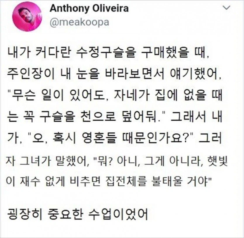 숲에 불이난 충격적인 이유_2.webp