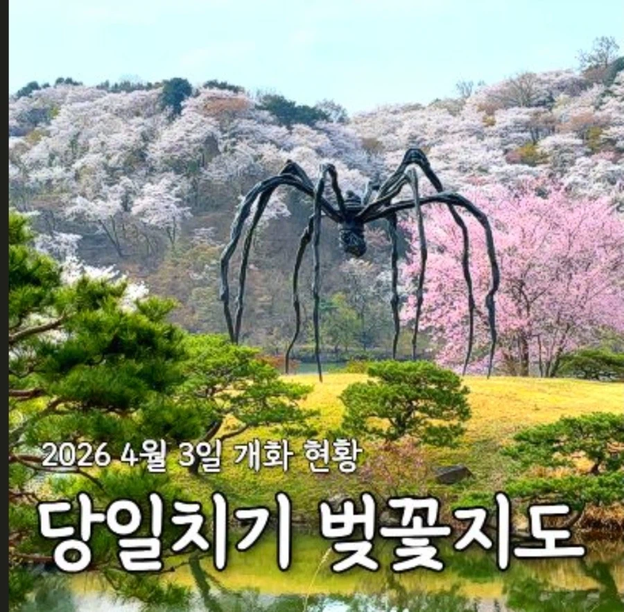 게임에서의 보스전 느낌_1.webp