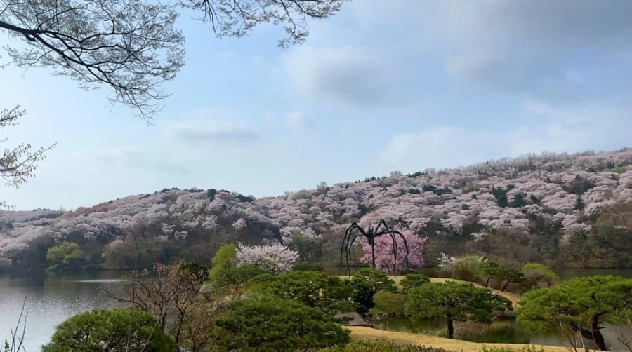 게임에서의 보스전 느낌_2.webp