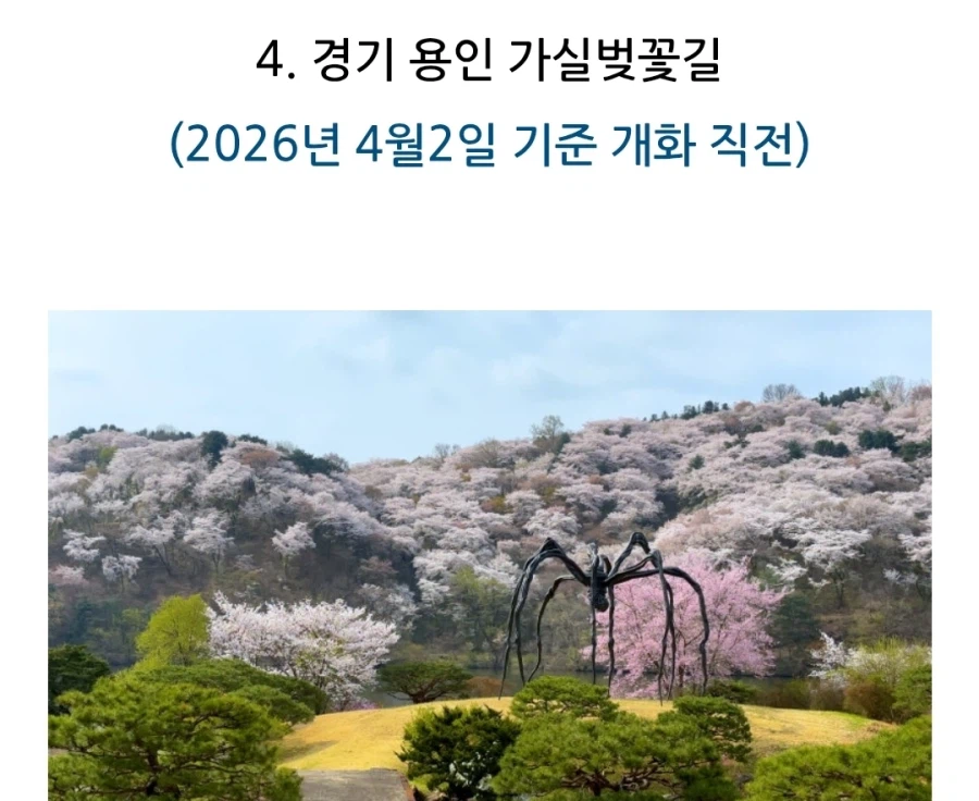 게임에서의 보스전 느낌_3.webp