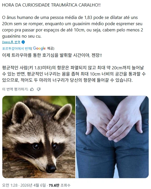 180cm 성인은 라쿤 두마리를 넣을 수 있다._1.webp