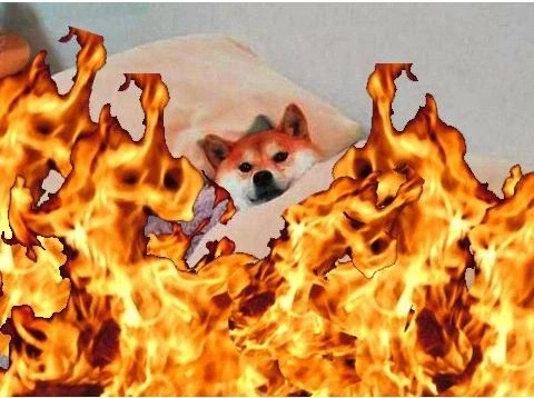 주인아, 불 좀 꺼 줘!_1.webp