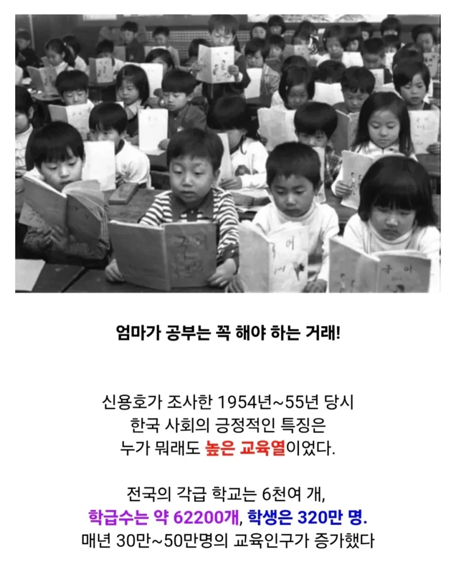 대한민국에서 최초로 만들어진 보험.jpg_5.webp