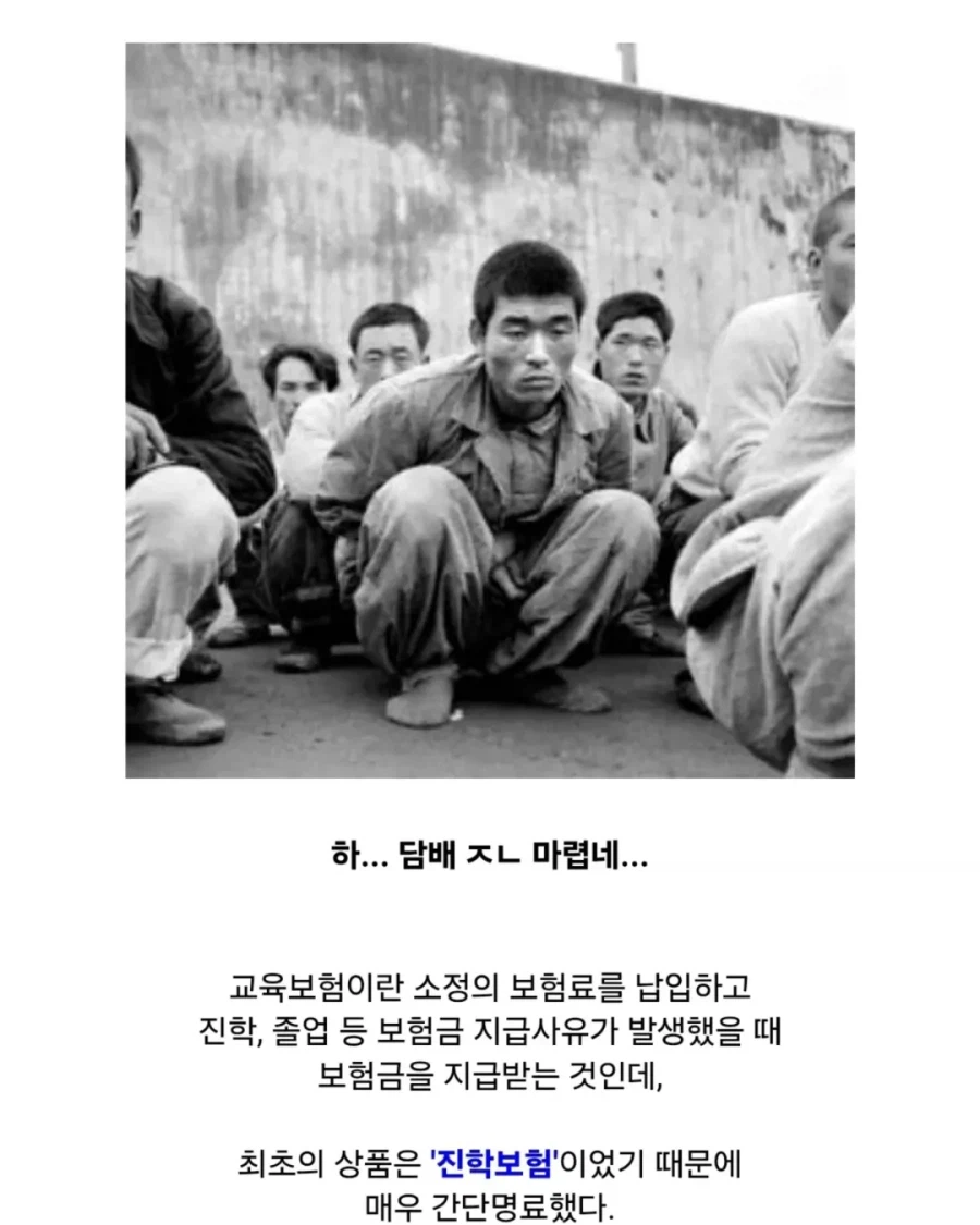 대한민국에서 최초로 만들어진 보험.jpg_7.webp