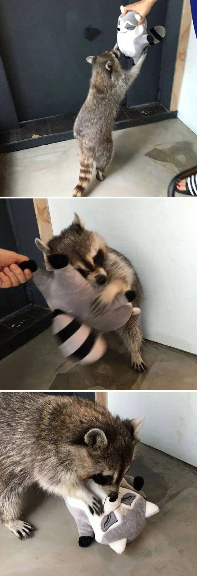 진솔한 리얼돌 사용 후기?!?!를 봤습니다_1.webp