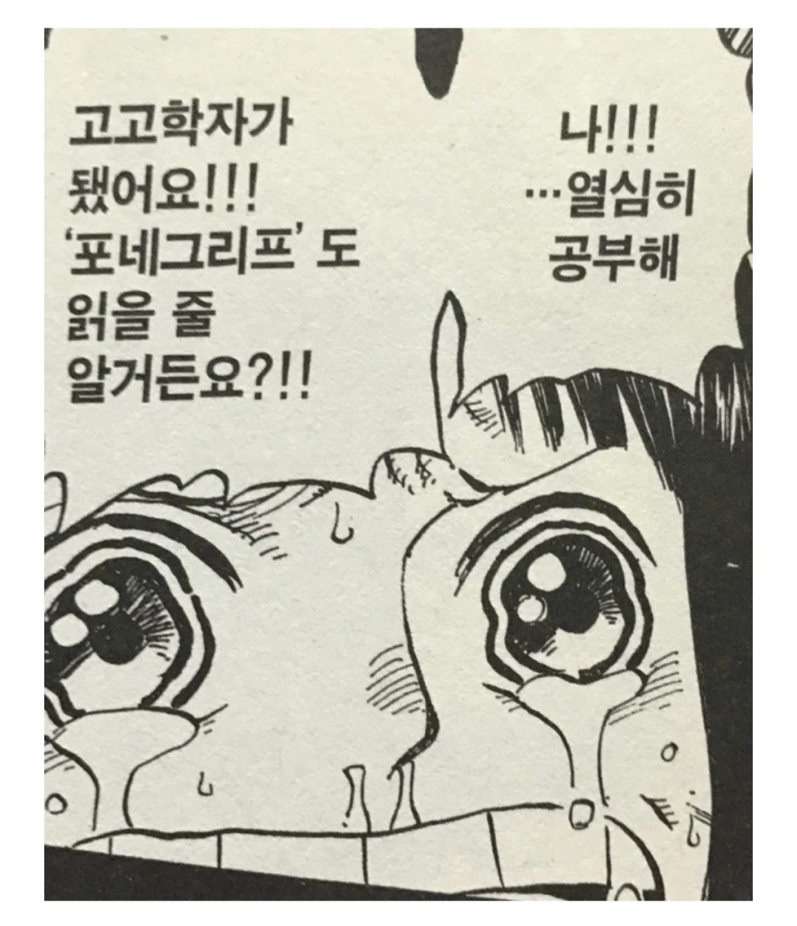 원피스 밀짚모자 일당의 공통점_1.webp