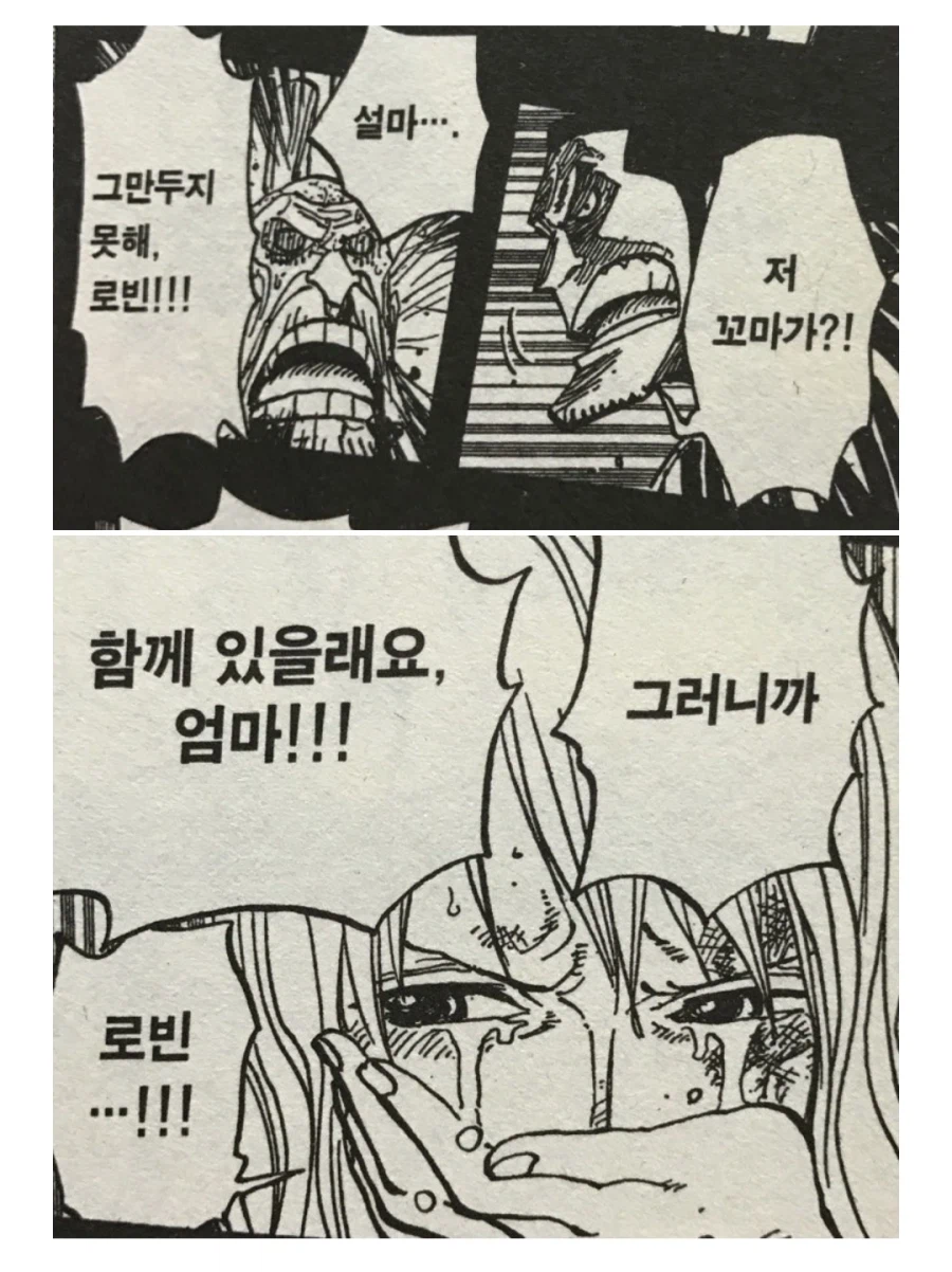 원피스 밀짚모자 일당의 공통점_2.webp