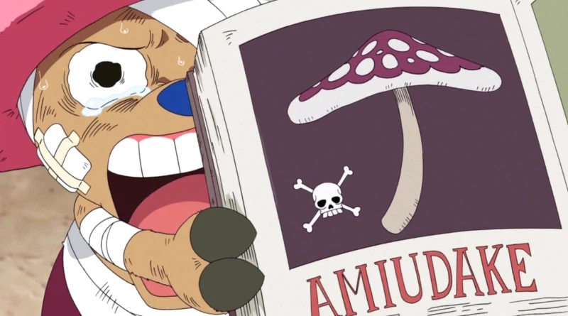 원피스 밀짚모자 일당의 공통점_6.webp