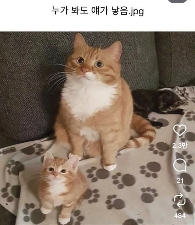 숨길수 없는 핏줄_1.webp