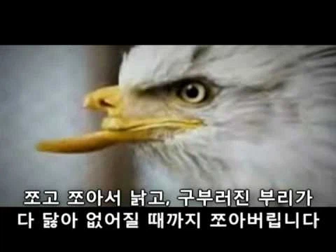 초청 강사들한테 한번쯤 들어봤을 개소리들_1.webp