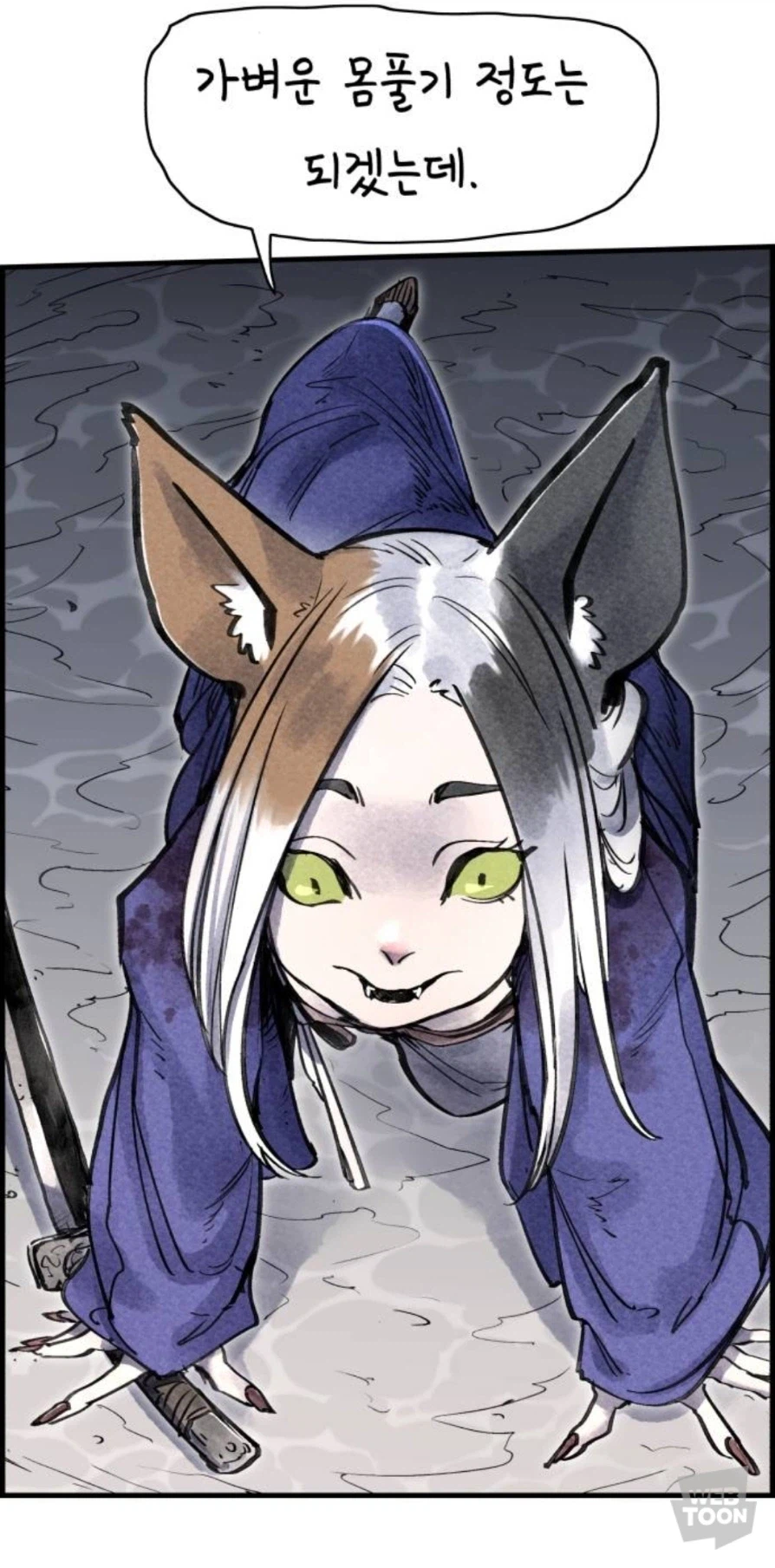 암컷타락 사무라이 고양이_7.webp