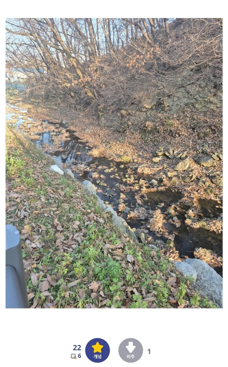 adhd의 장점을 살리려고 나물 채칩하러 나왔다._2.webp