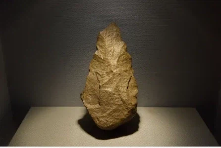 주먹도끼가 원시인의 똑똑함을 나타내는 증거로 쓰이는 이유_1.webp