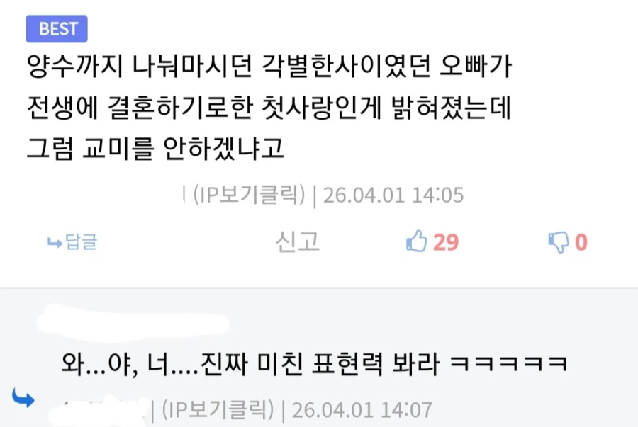 최애의 아이]진짜 감탄이 절로 나오는 디씨 댓글...._3.webp