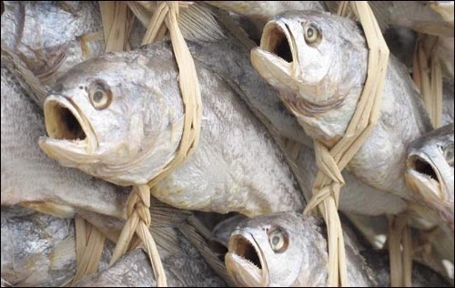 10등이 자기 등수 위로 싹 죽임_2.webp