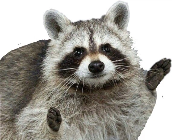 드래곤과 싸우다 이세계로 전송되는 용사_11.webp