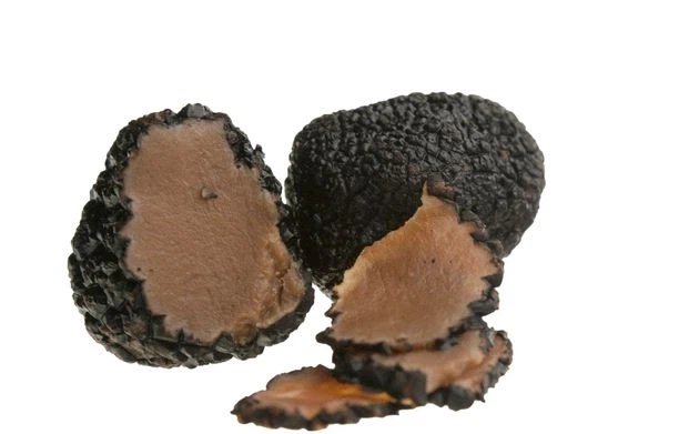 의외로 트러플은 포항에서도 자람_1.webp