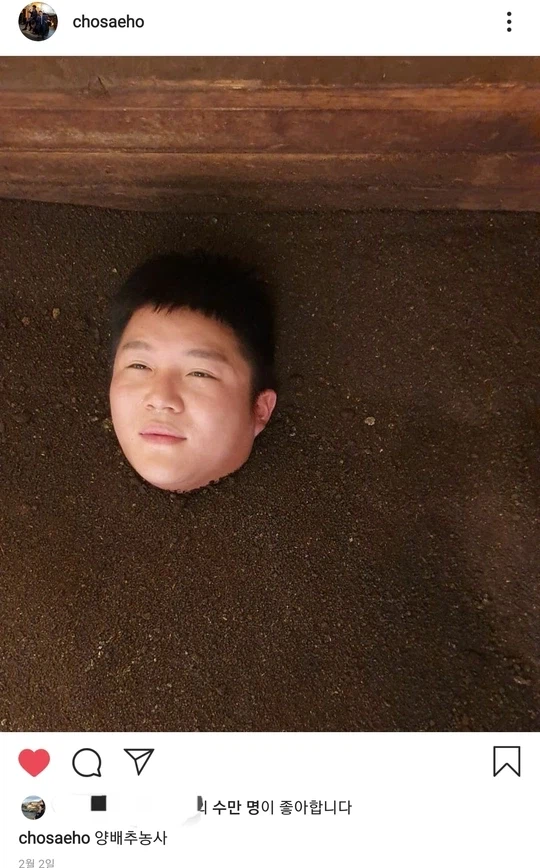 양배추 농사_1.webp