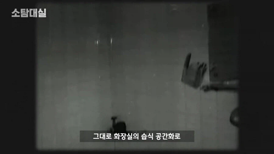 우리나라에서 습식 화장실이 자리 잡은 이유_12.webp