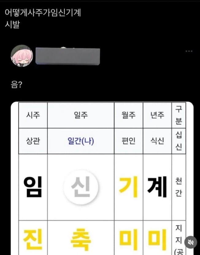 뭔가 엄청난 사주가 나와버린 사람.jpg_1.webp