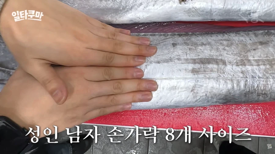 1마리 3KG짜리 대물 갈치 가격.jpg_2.webp