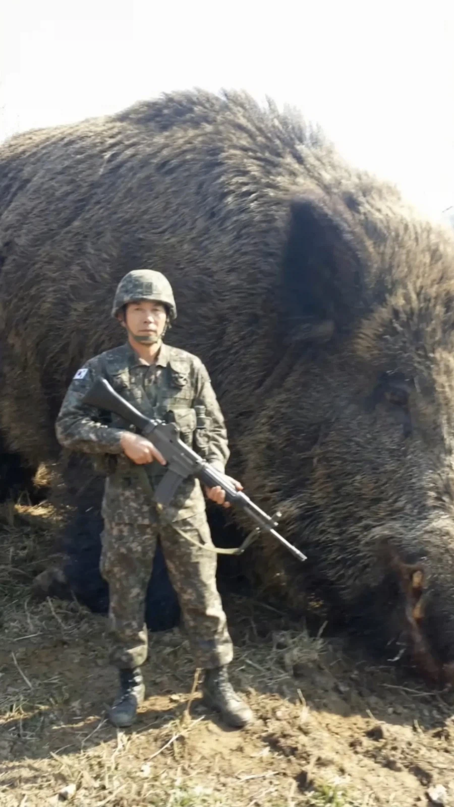 세계관 최강 주임원사_4.webp