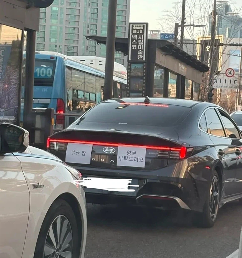 부산에 놀러온 초보운전자.jpg_1.webp