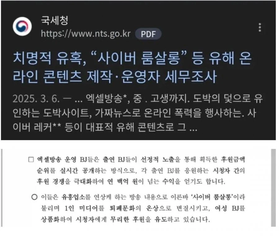 인터넷 엑셀방송 국세청에선 이렇게 부름.jpg_1.webp