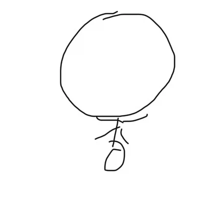 의외로 몇몇 사람들이 갖는 남극에 관한 궁금증.jpg_1.webp