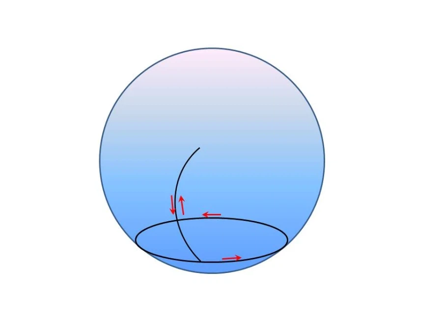 곰 색깔 맞추면 천재임.jpg_4.webp